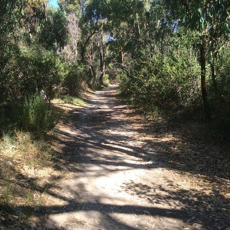 Star Swamp Bushland Reserve